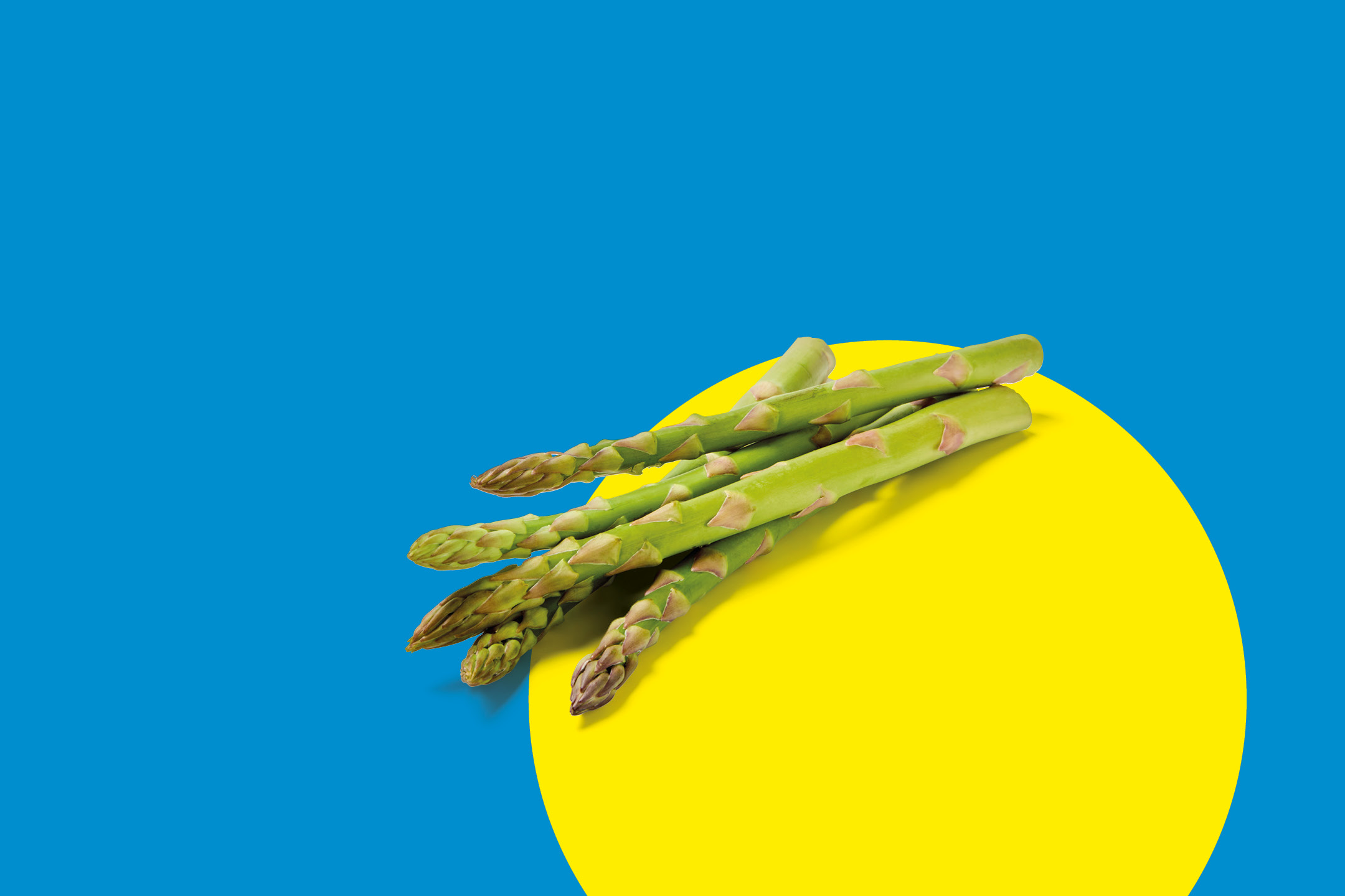 Asparagi freschi su sfondo blu e giallo.