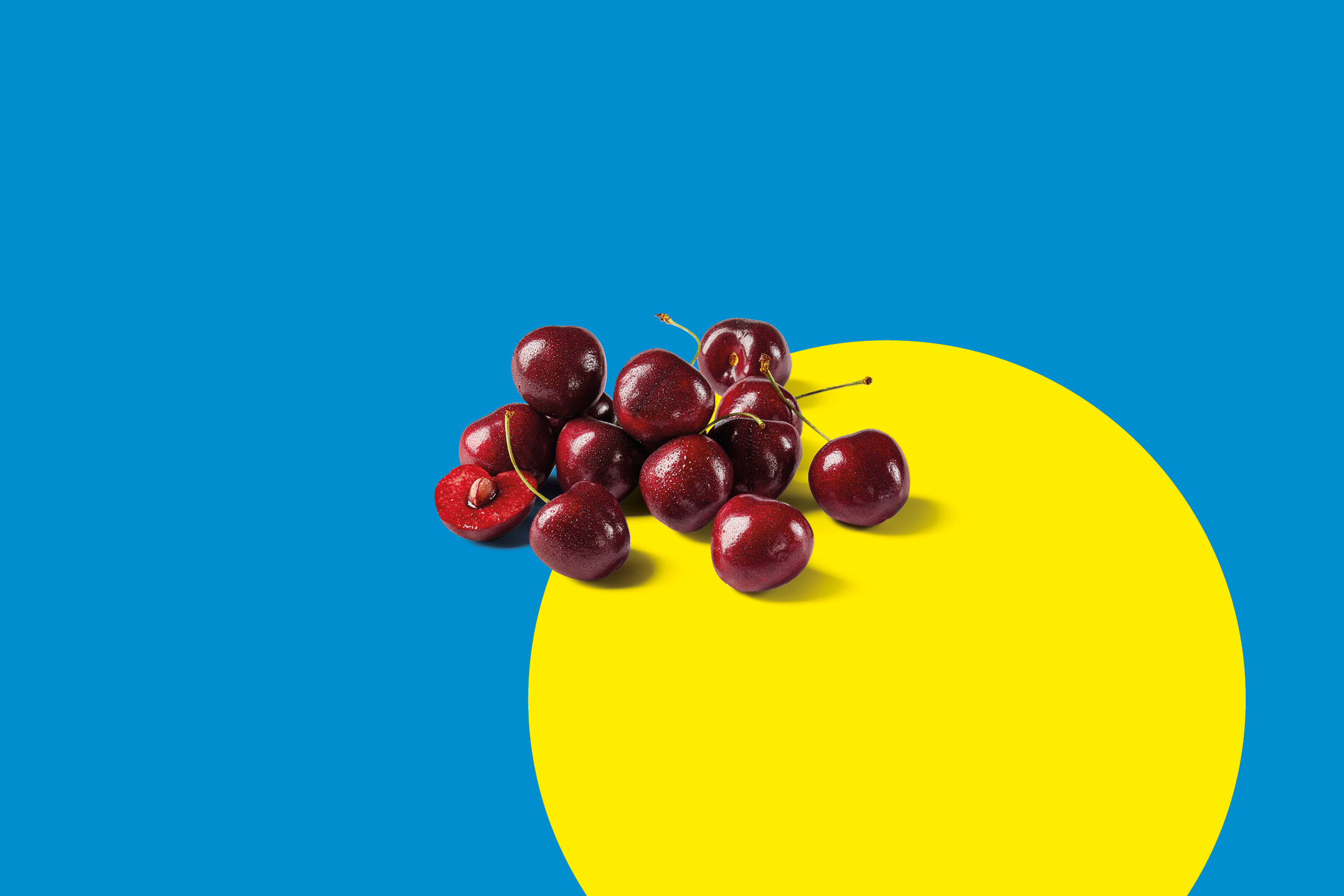 Ciliegie rosse fresche su sfondo blu e giallo.