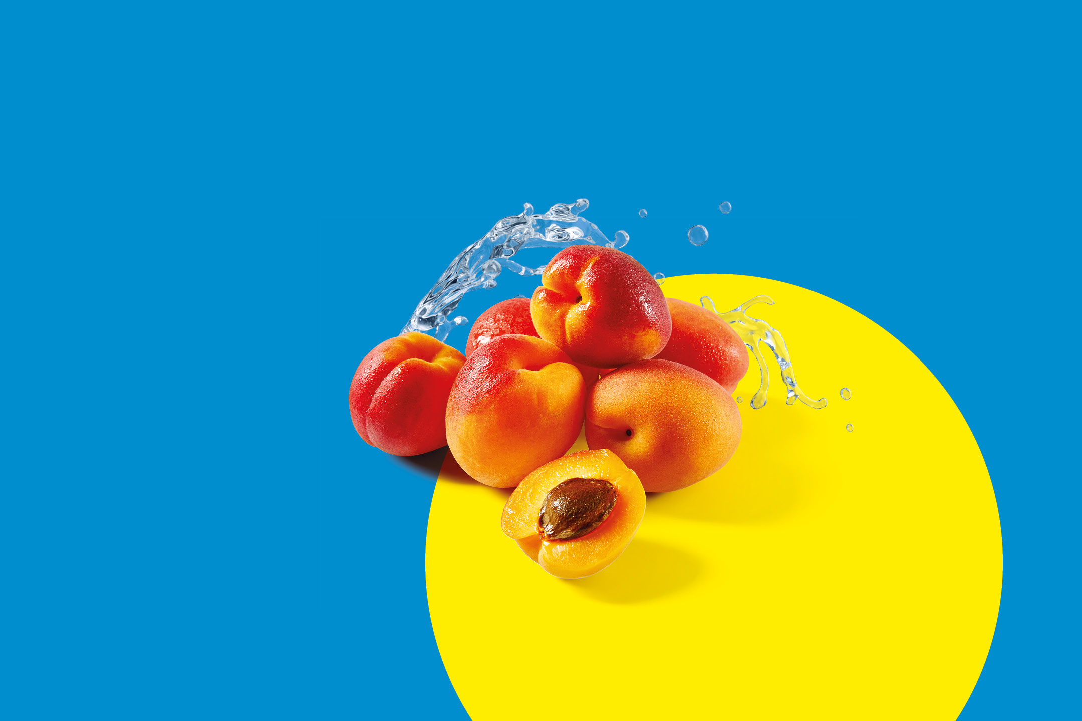 Albicocche fresche con schizzi d'acqua su sfondo blu e giallo.