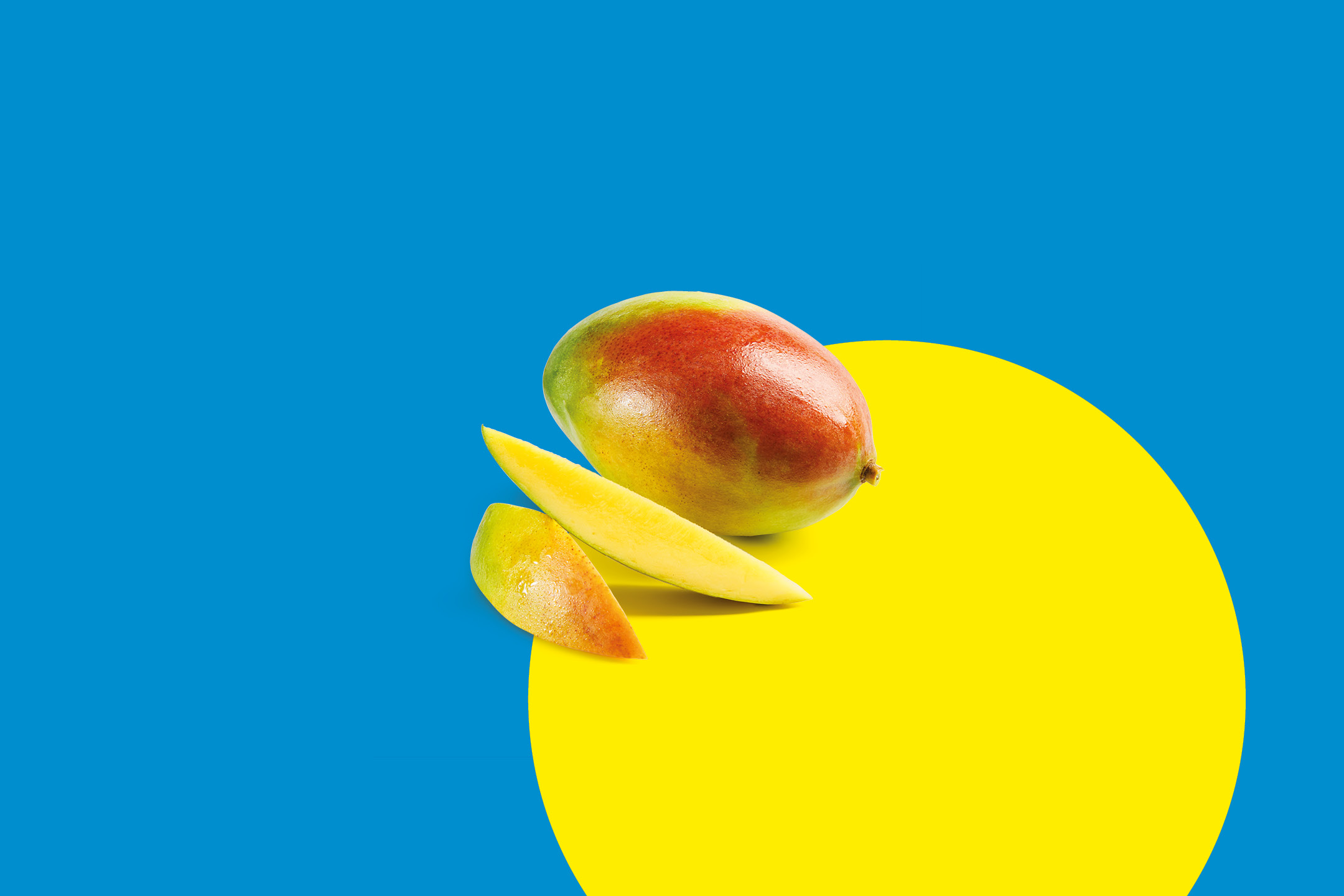 Mango intero e a fette su sfondo blu e giallo.