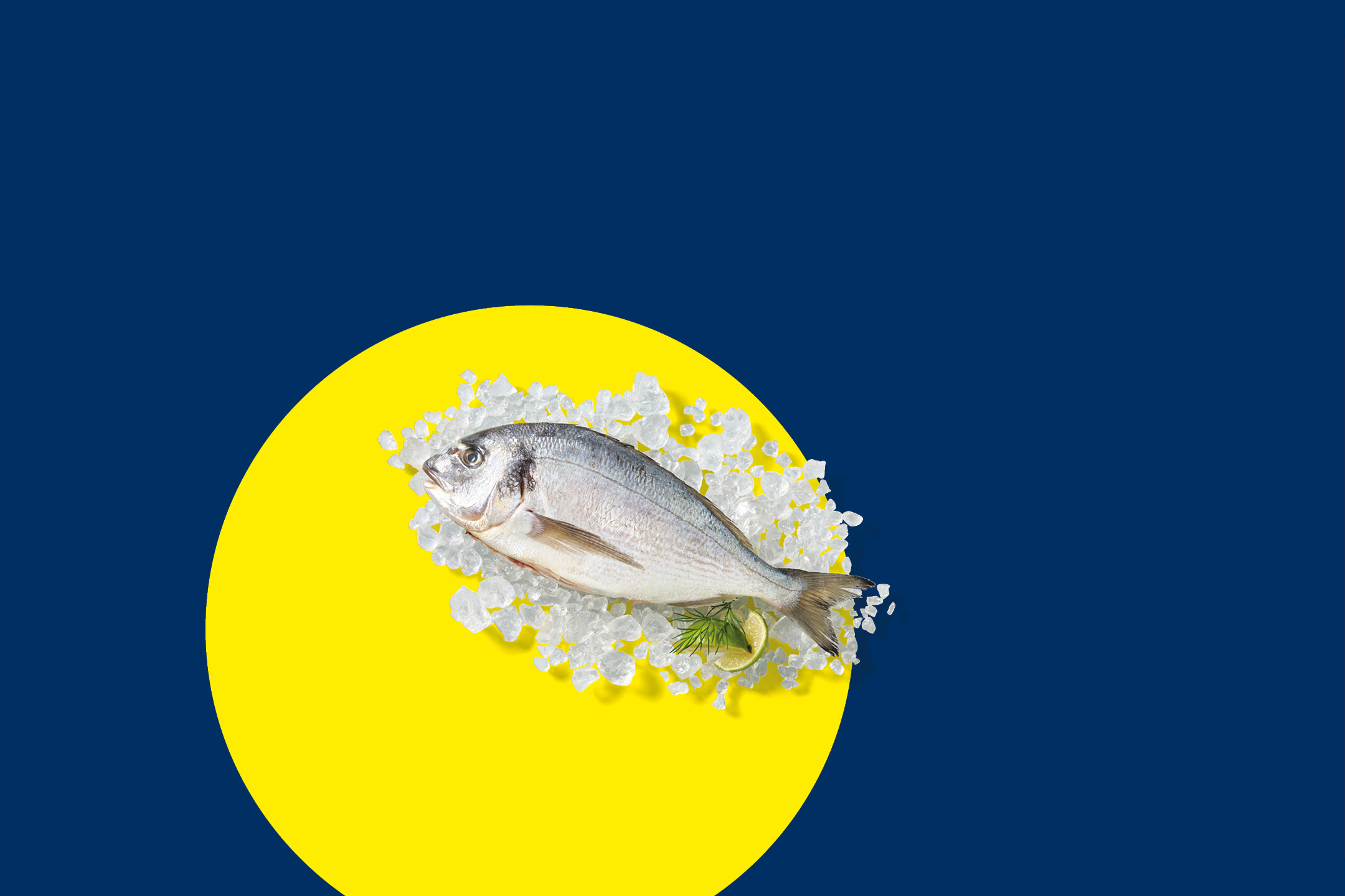 Pesce fresco su ghiaccio con lime e aneto, su sfondo blu e cerchio giallo.