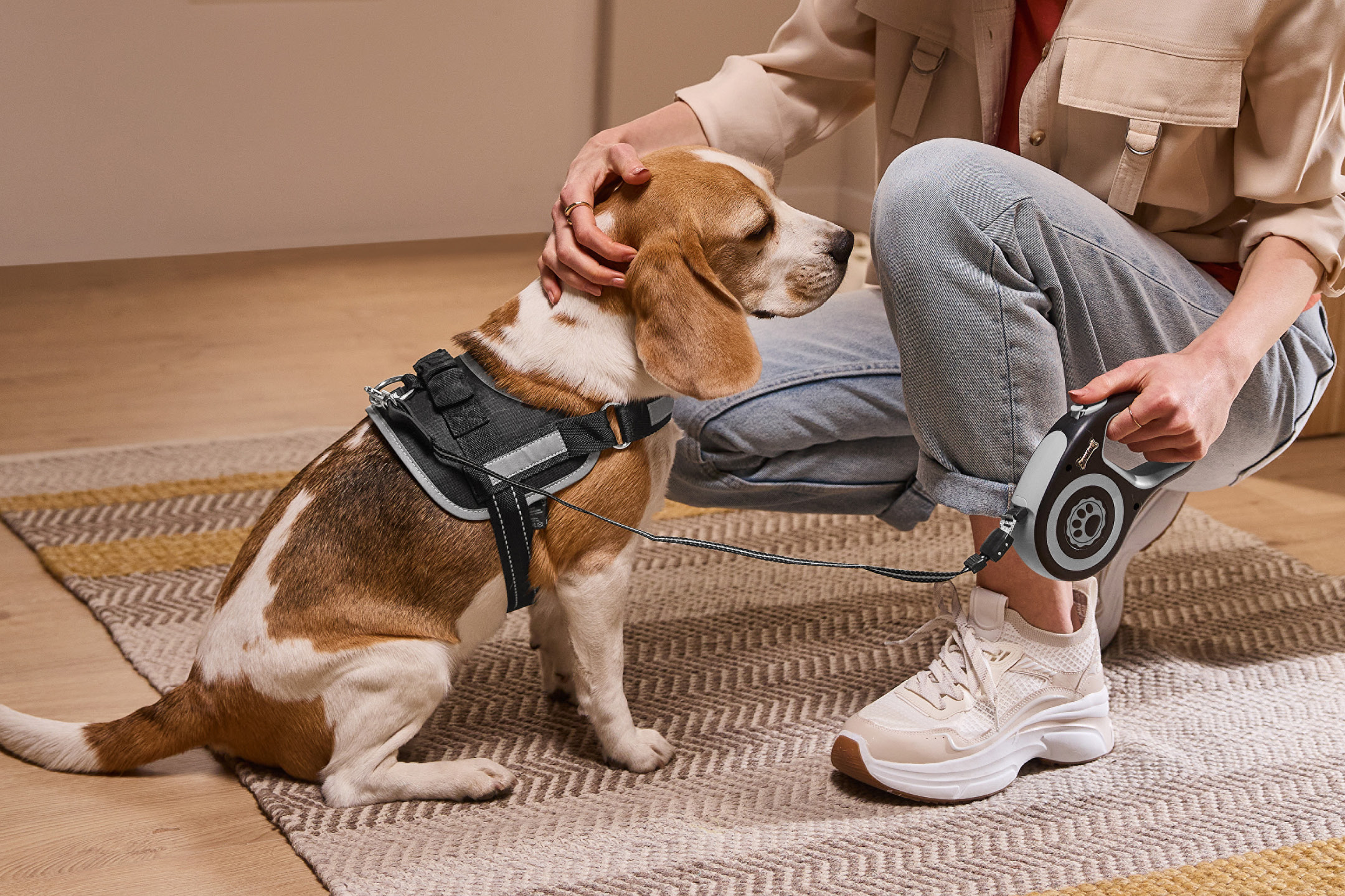 Cane beagle con pettorina nera, accarezzato da una persona che tiene un guinzaglio estensibile.