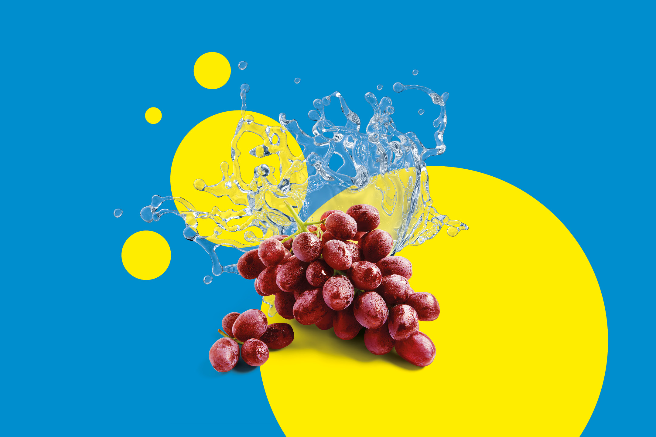 Uva rossa con schizzi d'acqua su sfondo blu e cerchi gialli.