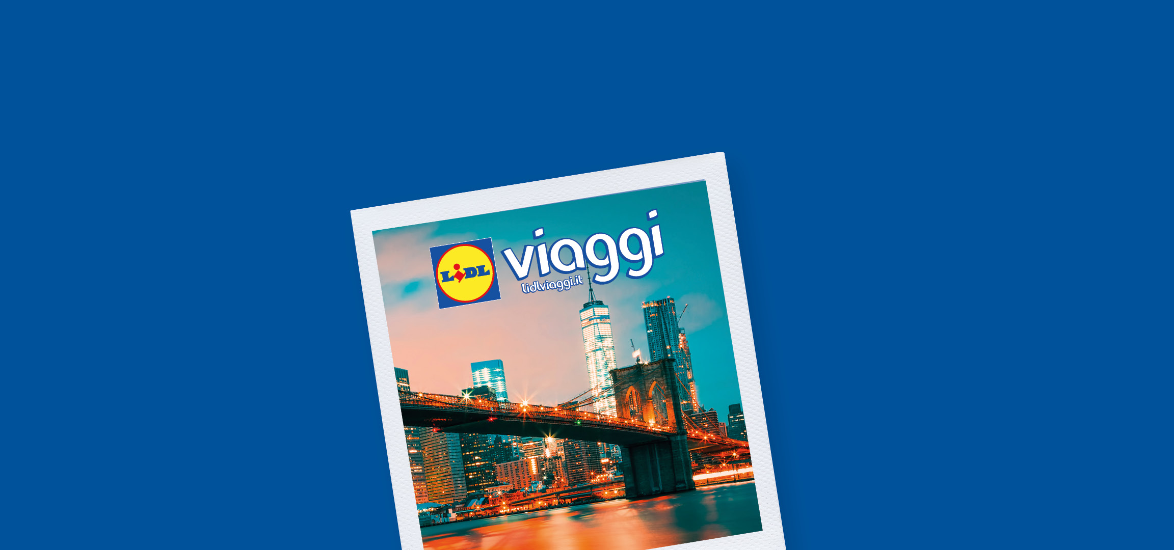 Offerta Lidl Viaggi categoria USA.