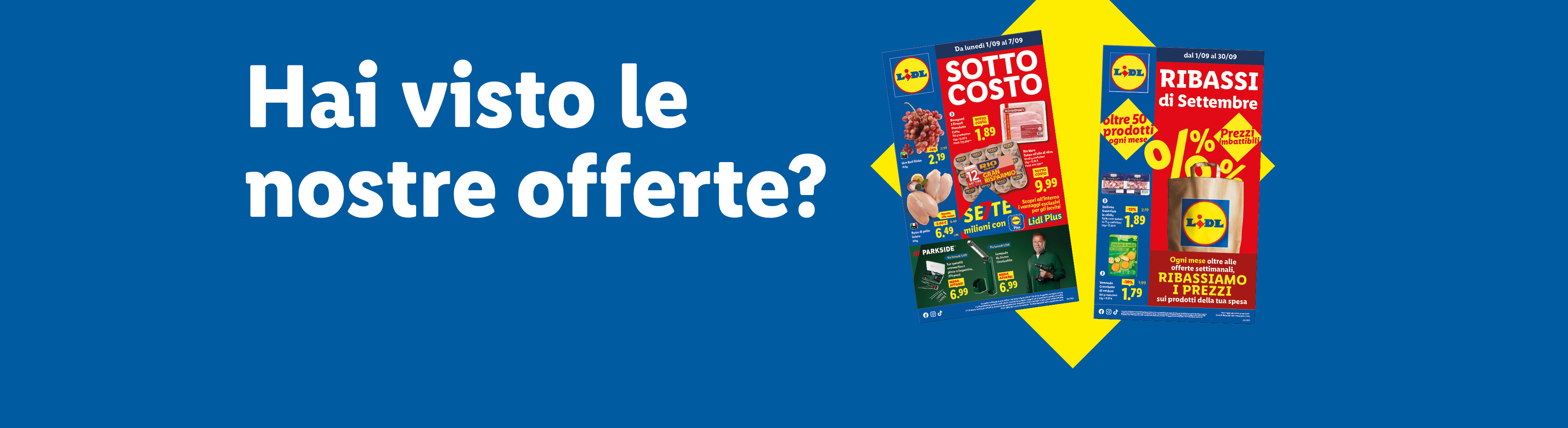 Volantino promozionale con offerte su uva, prosciutto cotto, tonno, pollo e attrezzi da lavoro.