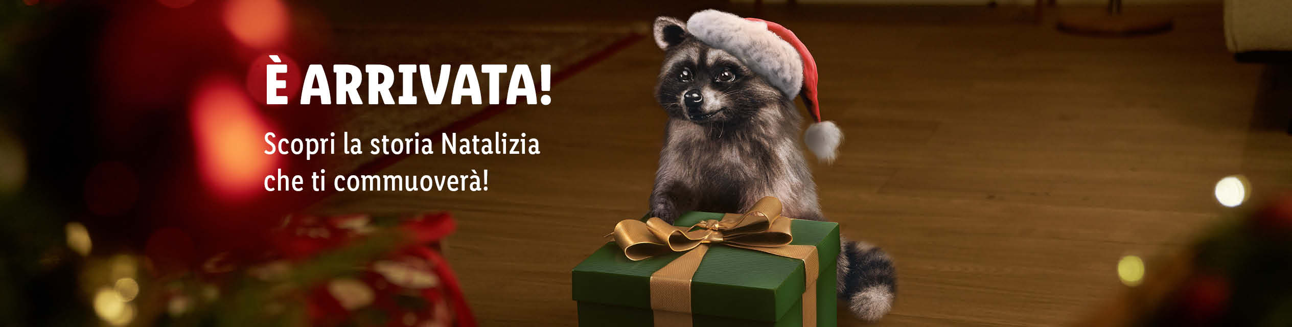 Scopri la storia Natalizia