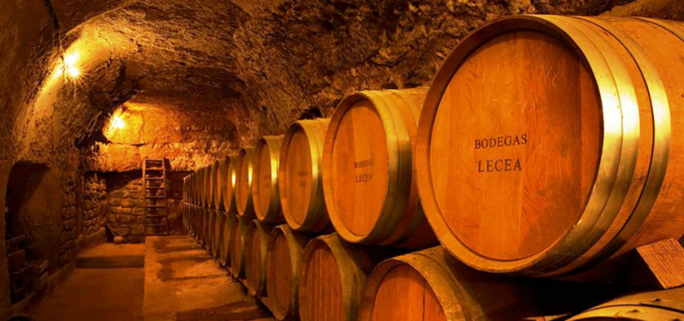 Cantina con botti di legno, alcune etichettate 'BODEGAS LECEA'
