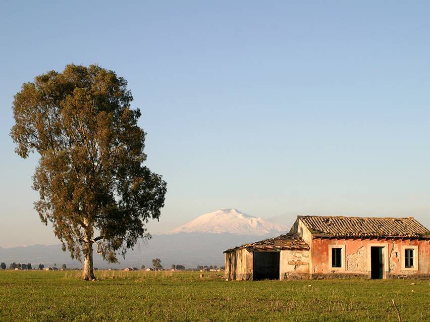 Paesaggio rurale con un albero, una casa fatiscente e una montagna innevata sullo sfondo.