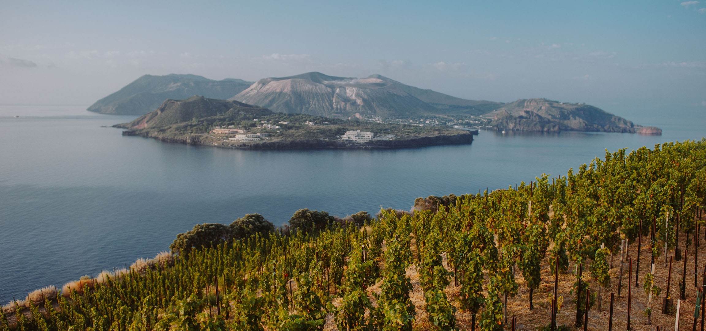Vigneto a terrazze con vista su un'isola vulcanica e il mare.
