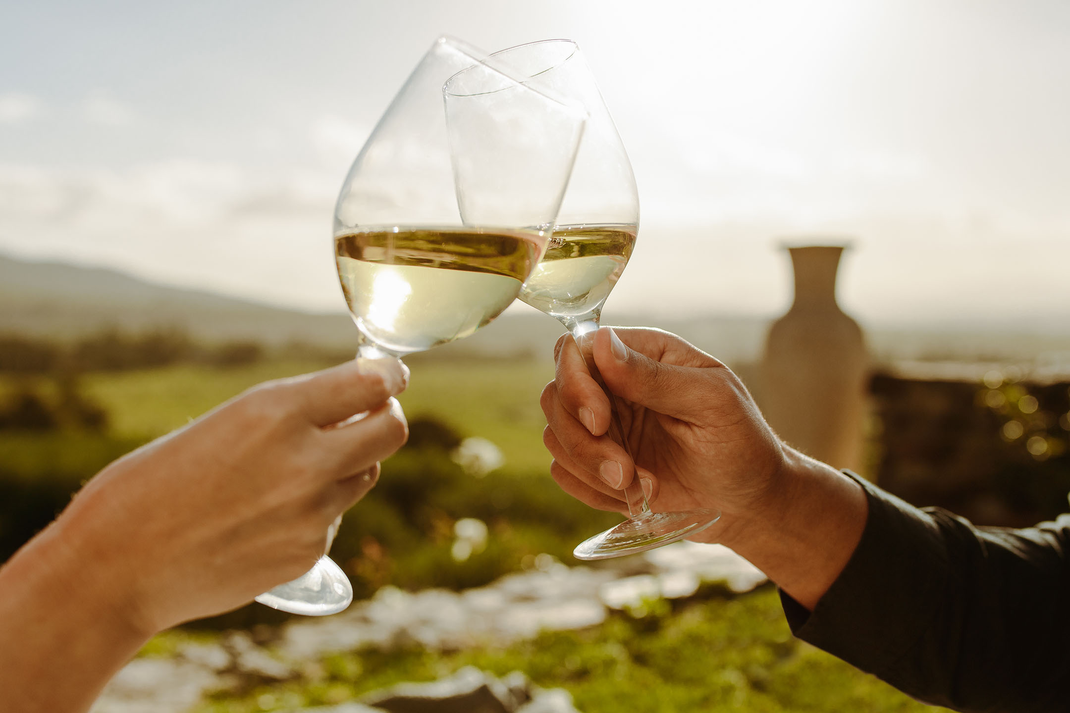 Due mani brindano con calici di vino bianco in un ambiente rurale soleggiato.