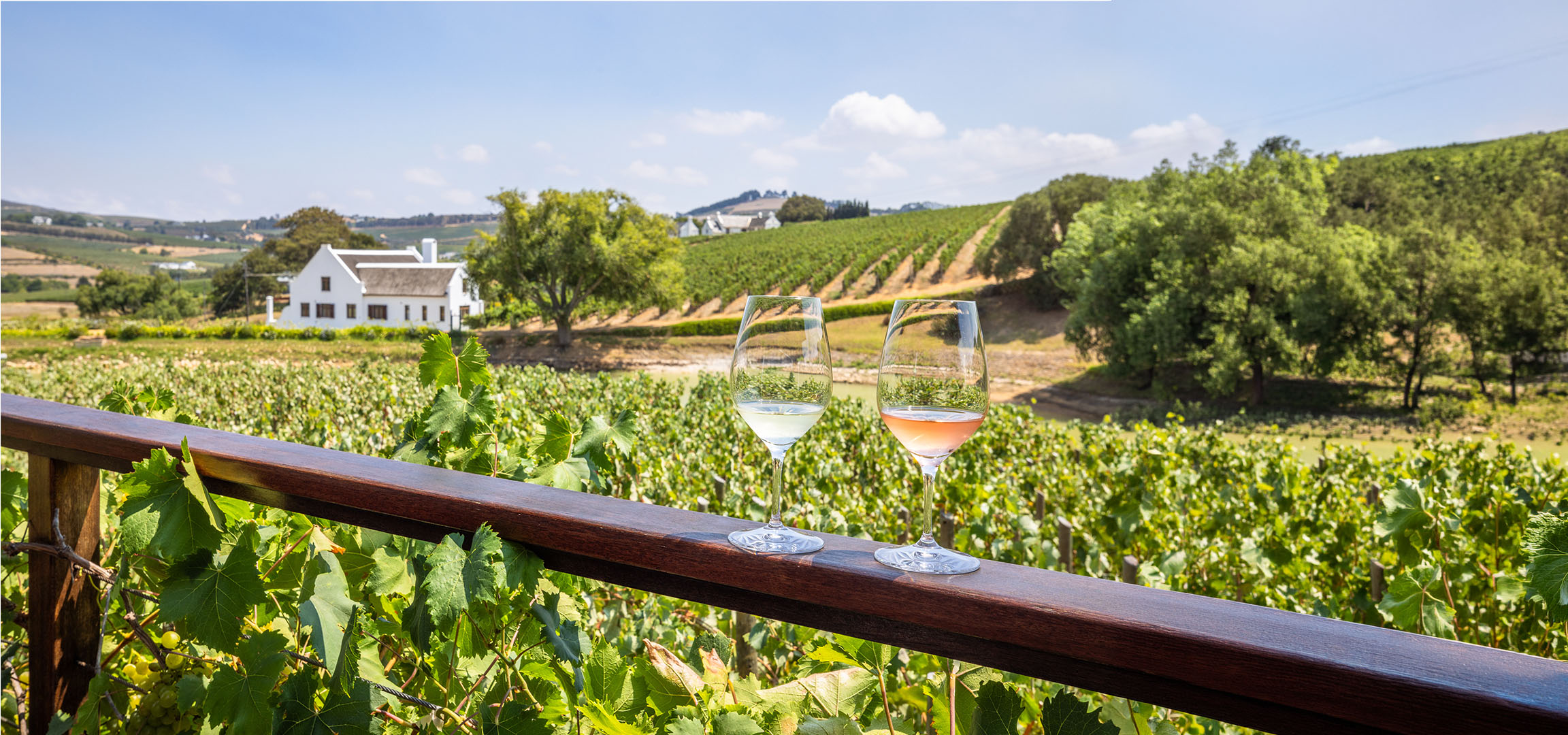Due bicchieri di vino, bianco e rosé, con un vigneto e una casa bianca sullo sfondo.
