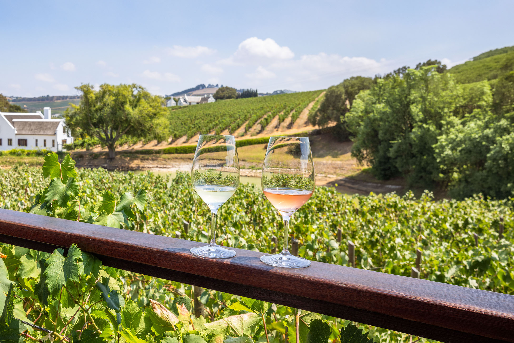 Due bicchieri di vino, bianco e rosé, su una ringhiera di legno con un vigneto sullo sfondo.