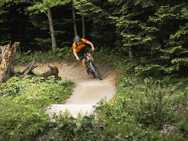Ciclista di mountain bike su un sentiero nel bosco.
