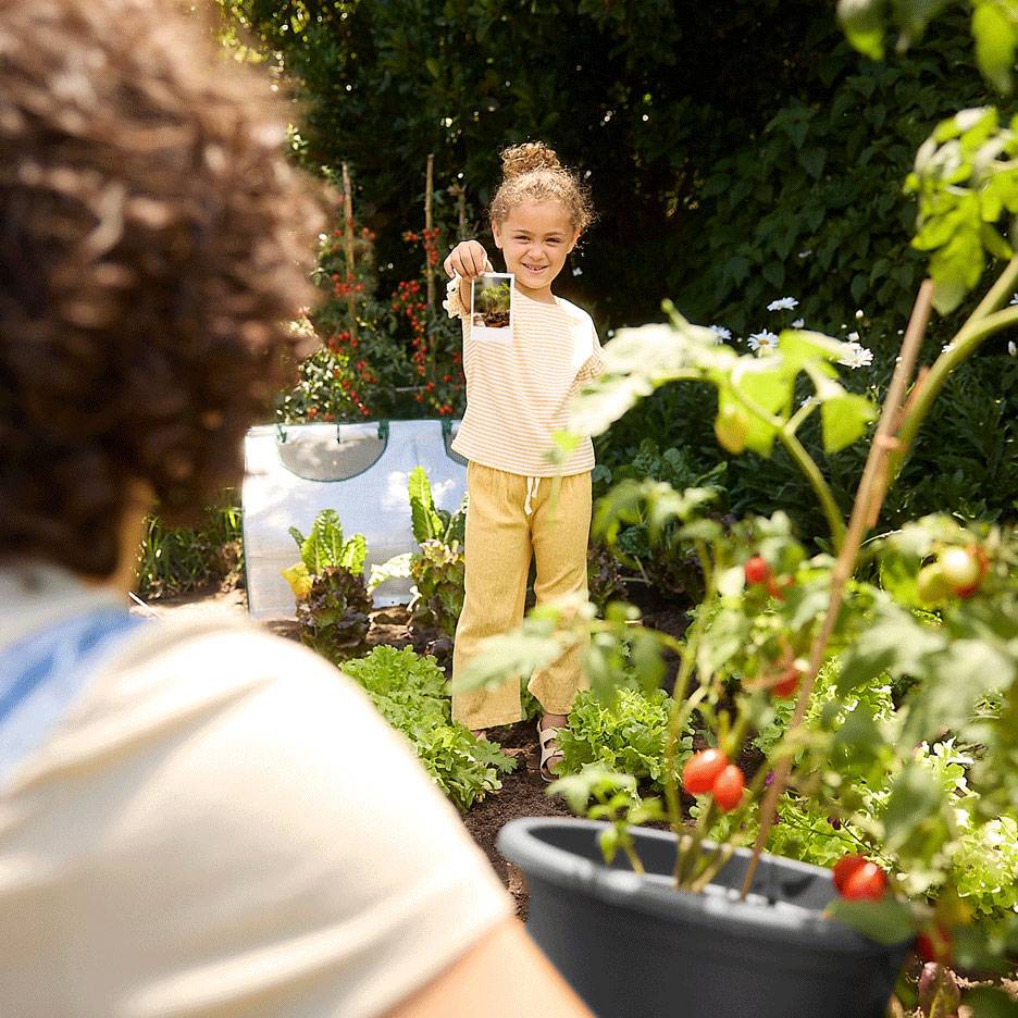 Bambino in un giardino che tiene una foto, con prodotti freschi e una pianta di pomodoro in primo piano.