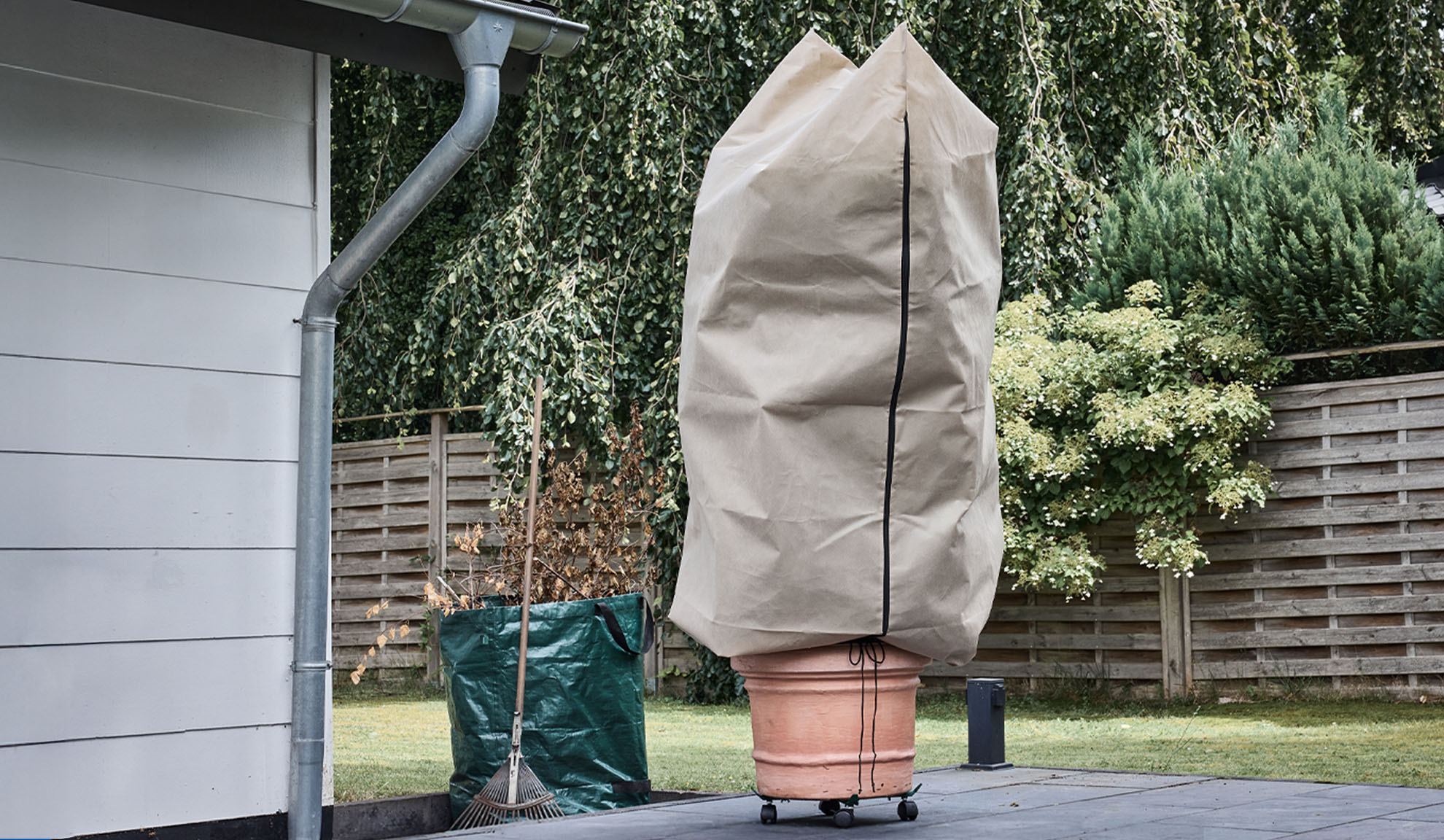 Copertura per pianta in vaso su un patio con grondaia e rastrello.
