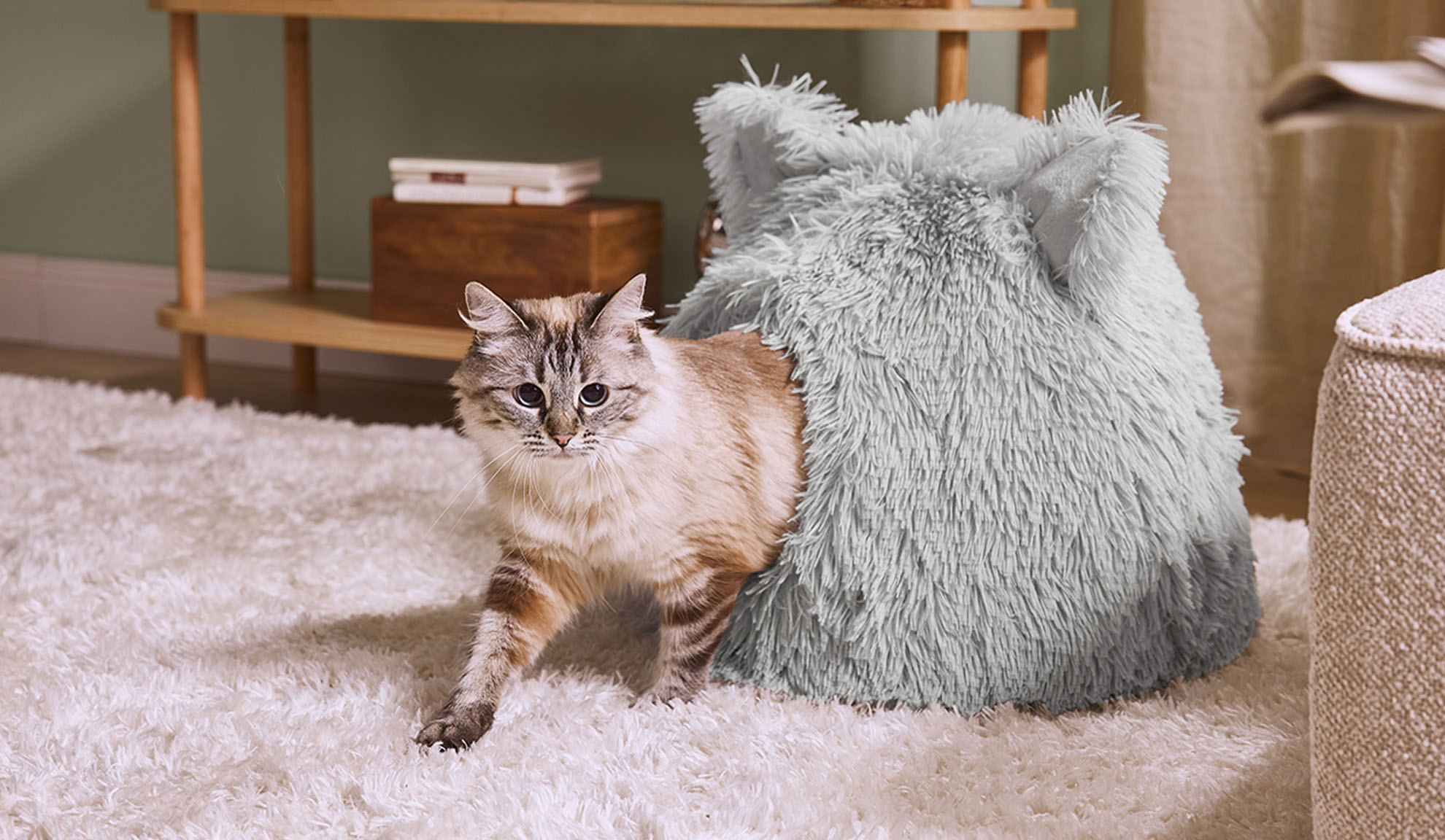 Gatto che emerge da una cuccia grigia e soffice su un tappeto bianco.